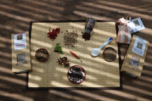 Load image into Gallery viewer, La Plantation Fair Spices - Spicy Mix 50g Tube