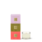 Load image into Gallery viewer, Most Coveted Trio 3 x 30g Trio