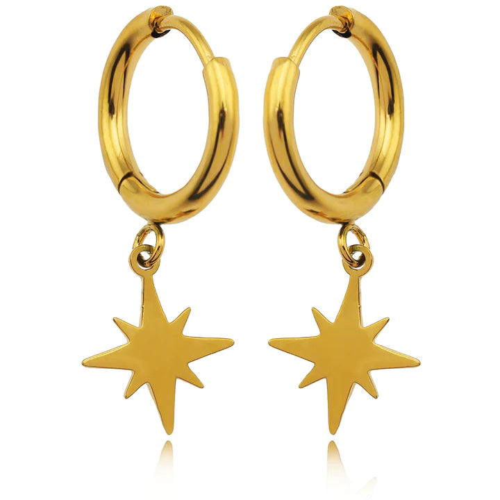 Kaylin Star Earrings 21255