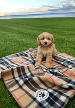 Load image into Gallery viewer, TARTAN PET BLANKET 1014