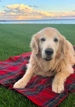 Load image into Gallery viewer, TARTAN PET BLANKET 1014