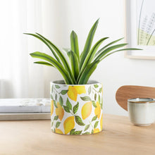 Load image into Gallery viewer, LEMON MOTIF 6”VASE