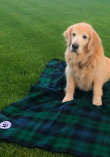 Load image into Gallery viewer, TARTAN PET BLANKET 1014