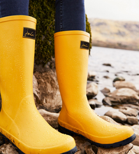 Load image into Gallery viewer, WELLIES ROLL-UP JOULES