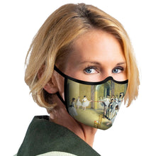 Load image into Gallery viewer, RAINCAPER FINE ART MASKS