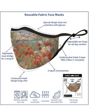 Load image into Gallery viewer, RAINCAPER FINE ART MASKS