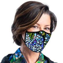 Load image into Gallery viewer, RAINCAPER FINE ART MASKS