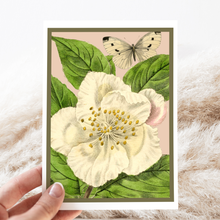 Load image into Gallery viewer, Cheerful Whimsies - Greeting Card. Pale Pink Flower and Moth.
