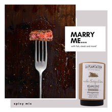 Load image into Gallery viewer, La Plantation Fair Spices - Spicy Mix 50g Tube
