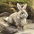 Load image into Gallery viewer, COTTONTAIL RABBIT PUPPET 2891
