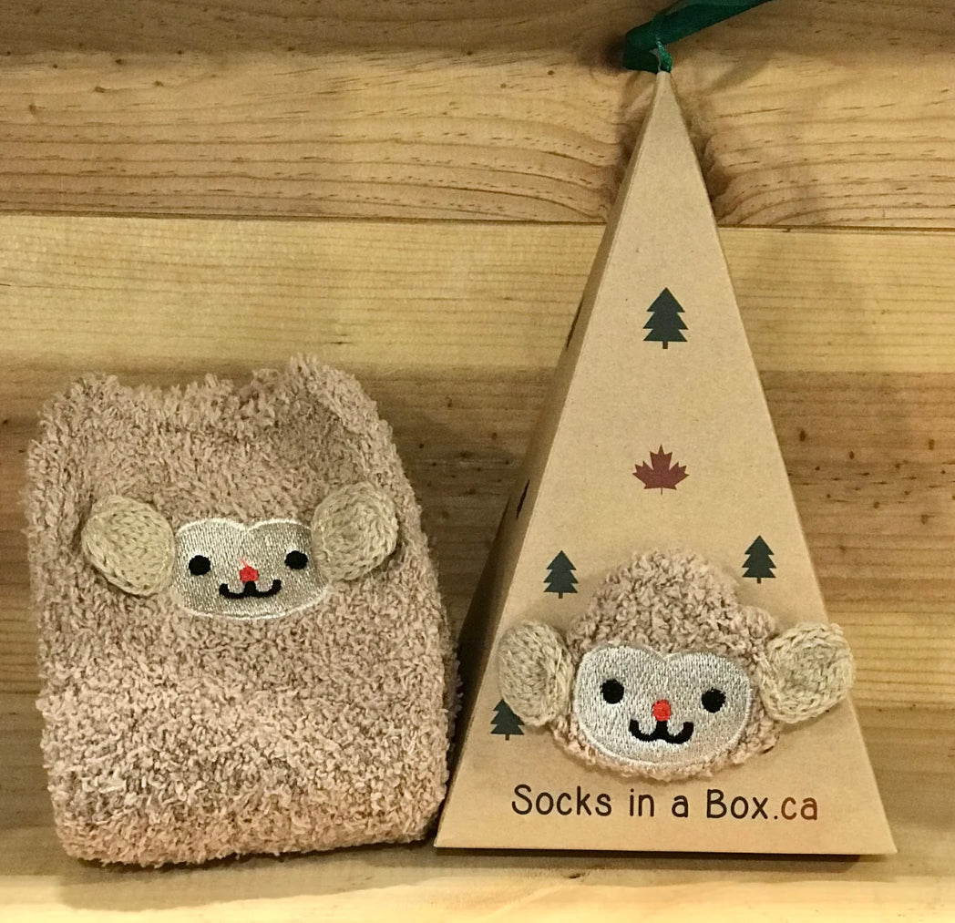 KIDS SOCKS IN A BOX