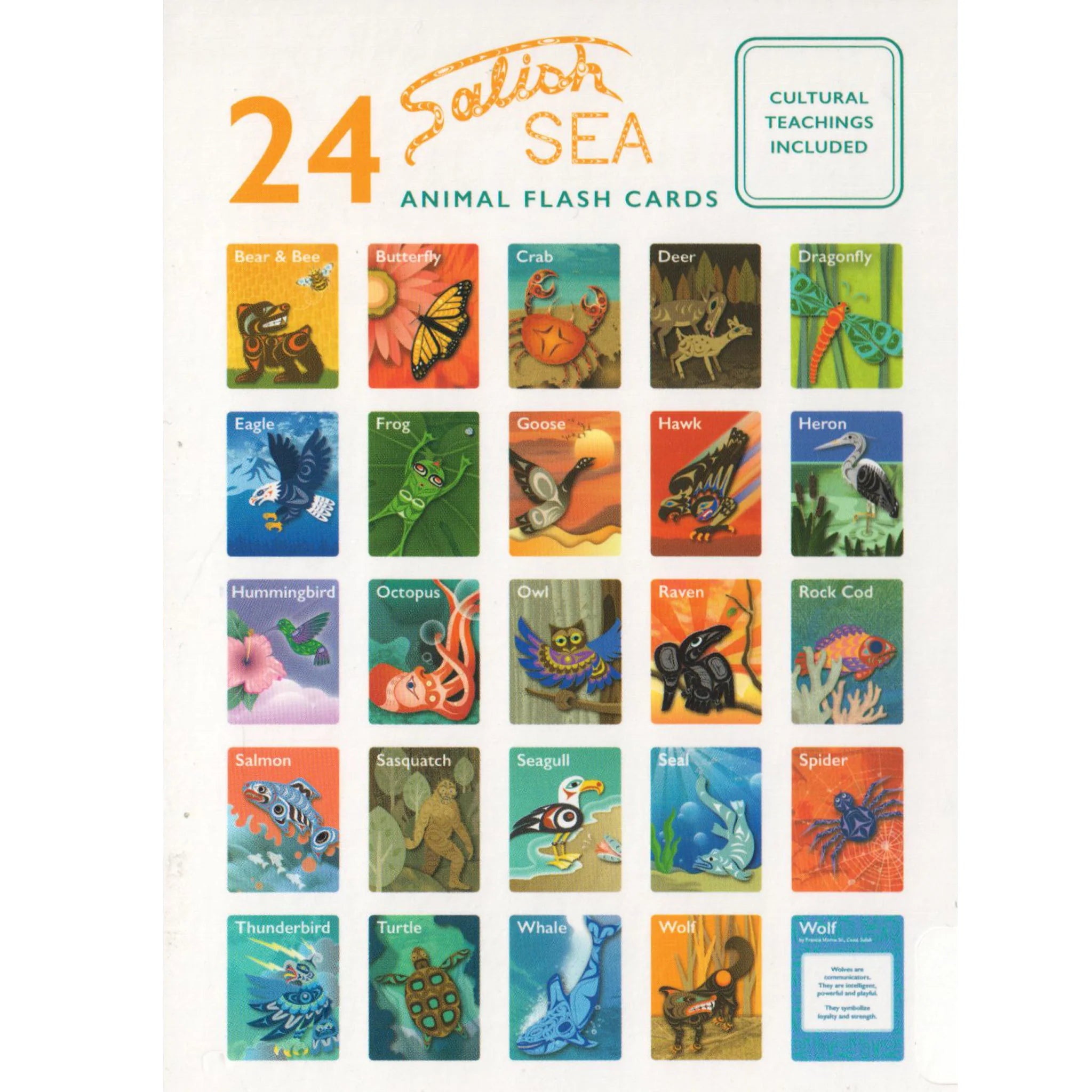 FLASH CARDS--AMINALS OF THE SALISH SEA