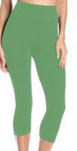 Load image into Gallery viewer, PLUS CAPRI SIZE BC-01
