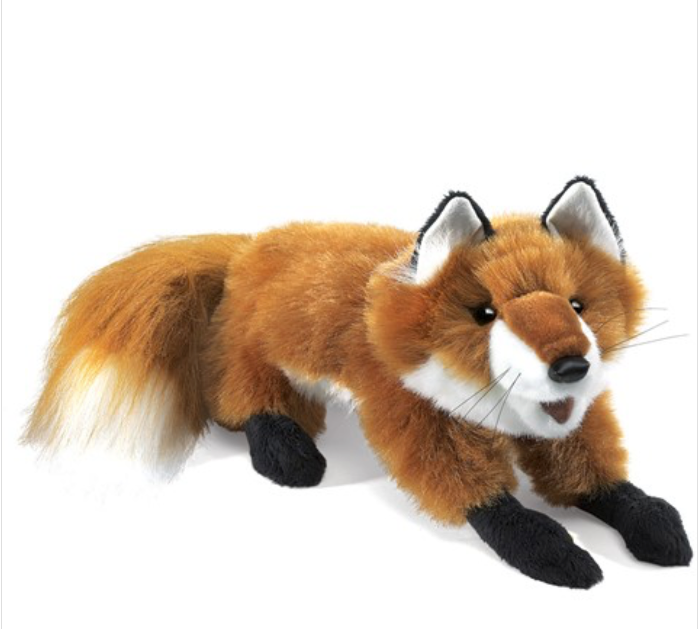 SMALL RED FOX 2576