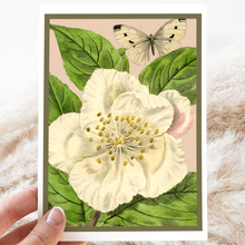 Load image into Gallery viewer, Cheerful Whimsies - Greeting Card. Pale Pink Flower and Moth.
