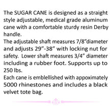 Load image into Gallery viewer, SUGAR CANE SILVER BLACK JKC106.SIBK
