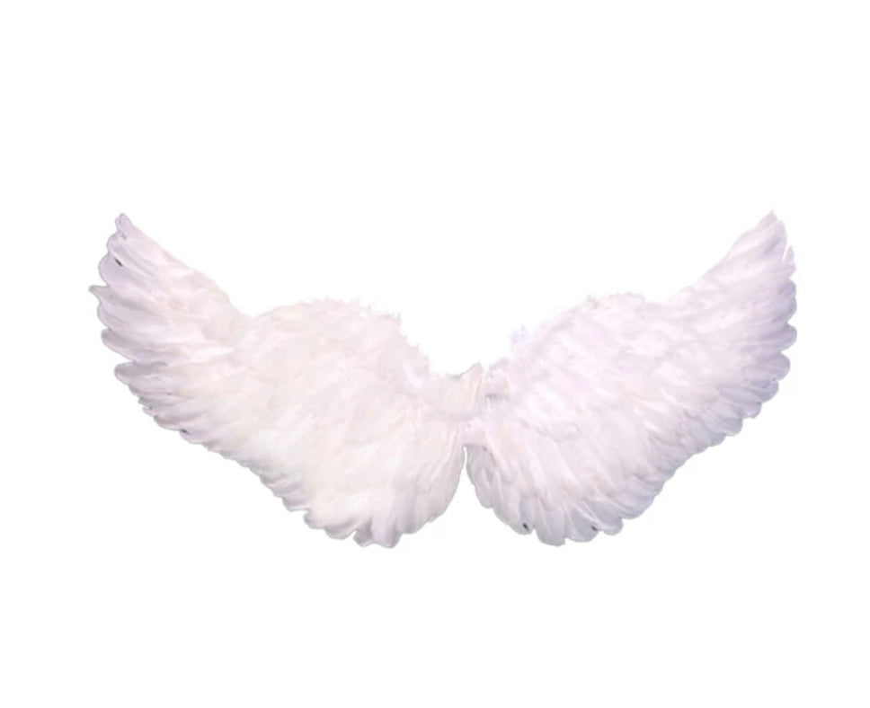 ANGEL WINGS