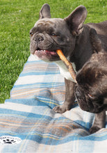Load image into Gallery viewer, TARTAN PET BLANKET 1014
