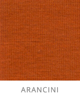 Load image into Gallery viewer, BRYN WALKER WILLA TUNIC 8574 ARANCINI ORANGE
