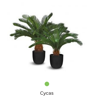CYCAS ARTIFICAL PLANT 95CM