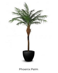 PHOENIX PALM ARTIFICAL TREE