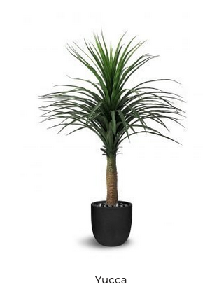 YUCCA ARTIFICAL PLANT 47"