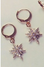 Load image into Gallery viewer, ATELIER SYP STAR EARRINGS

