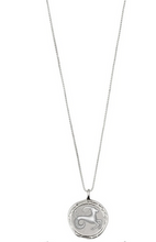 Load image into Gallery viewer, HOROSCOPE NECKLACES
